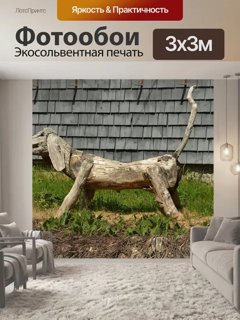 Фотообои Собака