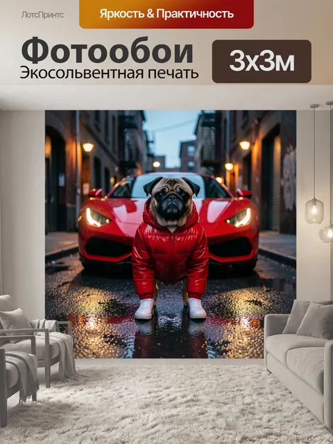 Фотообои Мопс в уличном стиле