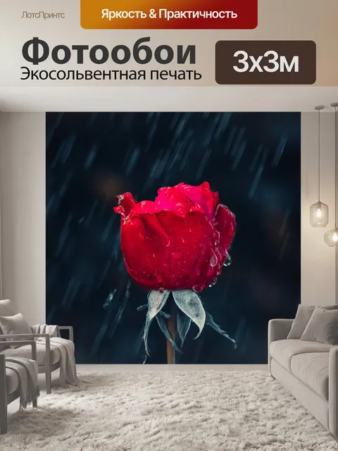 Фотообои Роза
