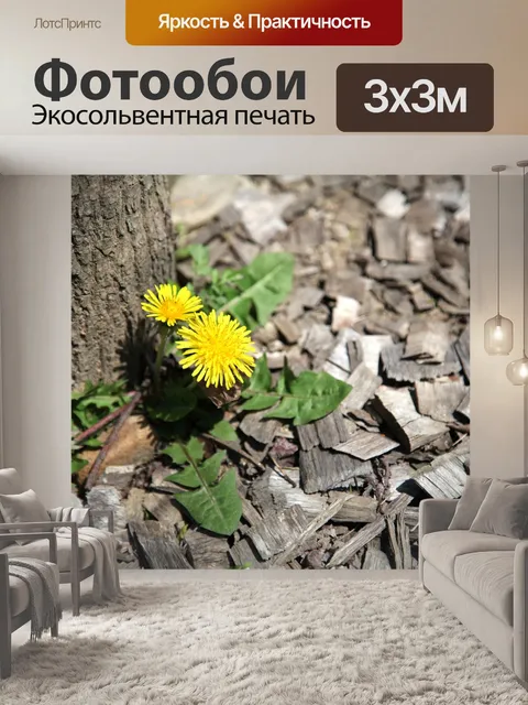 Фотообои Дерево