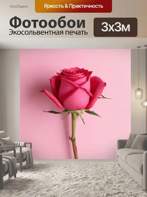Фотообои розы в стиле минимализм