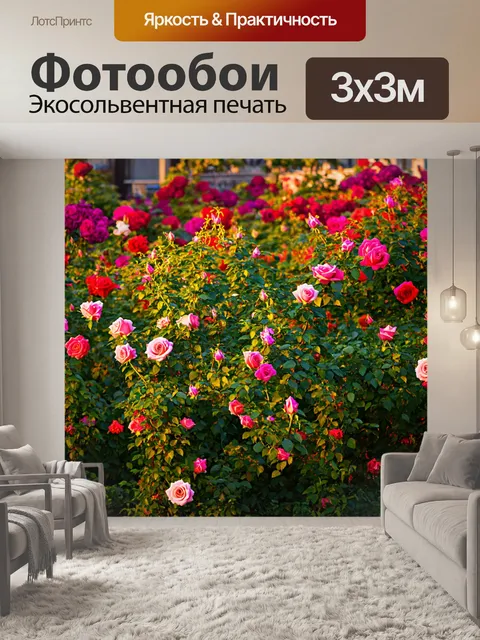 Фотообои розы в саду на рассвете
