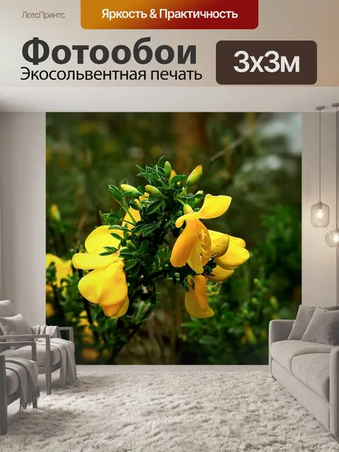Фотообои Цветы