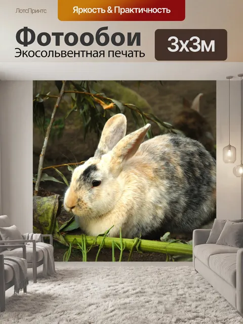 Фотообои Зайчик кролик зайчик пасха
