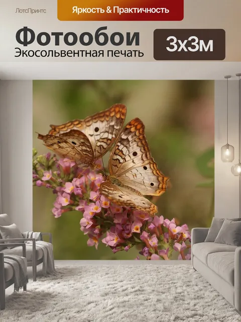 Фотообои Бабочки