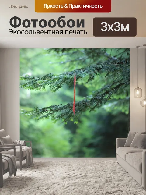 Фотообои Лес