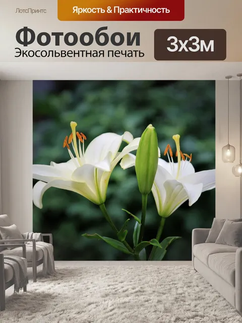 Фотообои Лилия