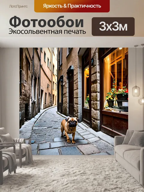Фотообои карликовый гриффон брабантский