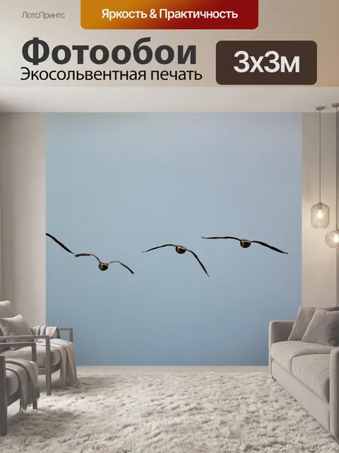Фотообои Гуси