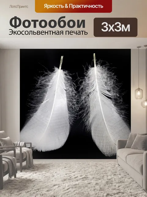 Фотообои Перья