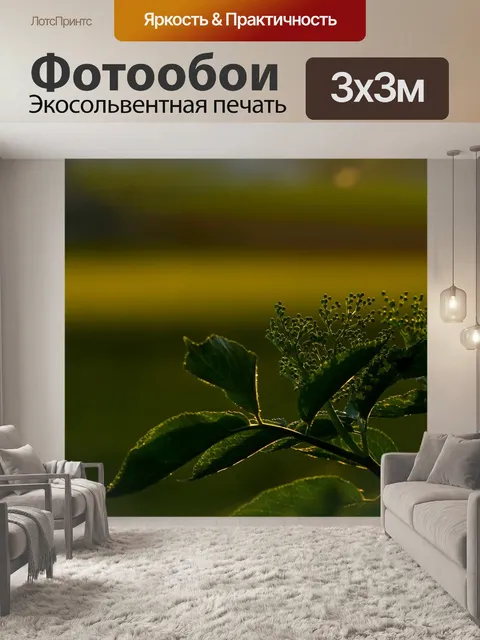 Фотообои Лист