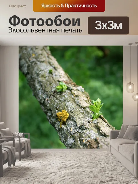 Фотообои Листья