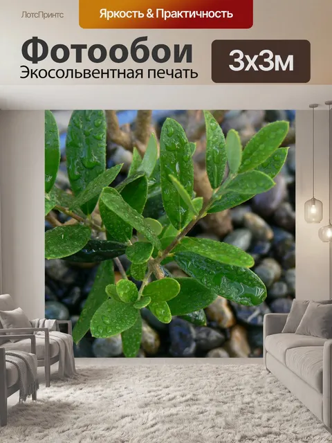 Фотообои Листья