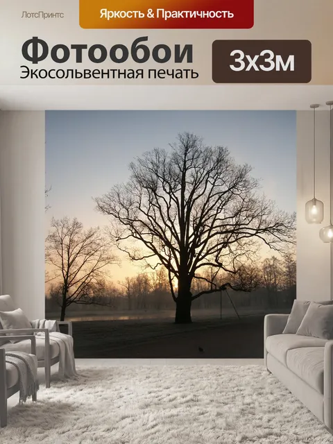 Фотообои Деревья