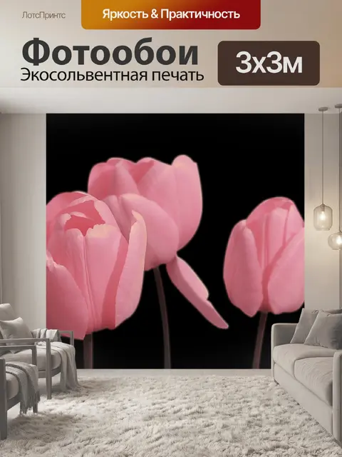 Фотообои Тюльпаны
