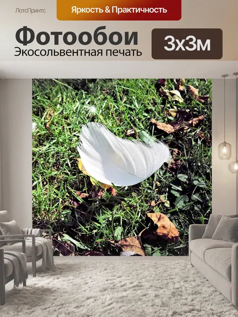 Фотообои Перо белого лебедя