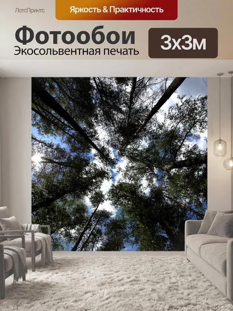 Фотообои Деревья