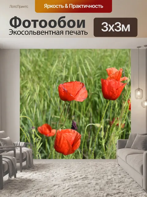 Фотообои Маки