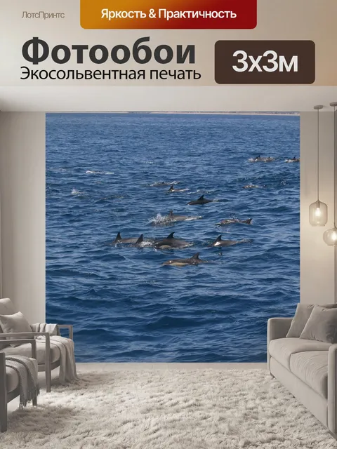 Фотообои Дельфин