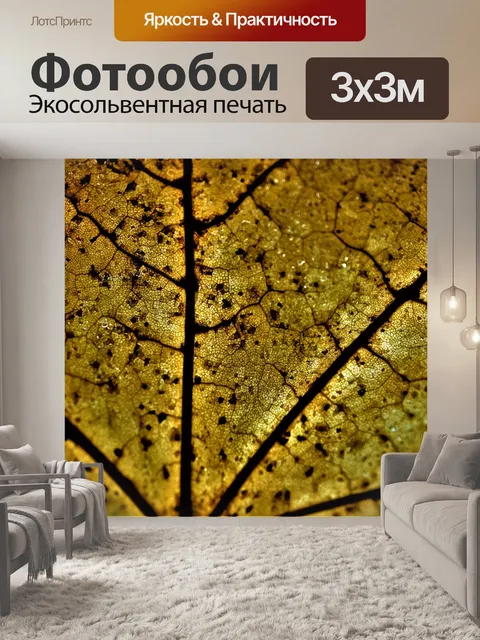 Фотообои Задний план