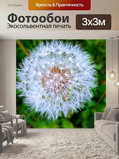 Фотообои Микрокосм