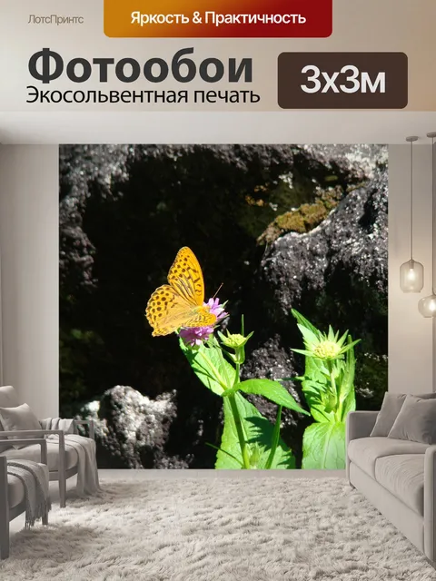 Фотообои Бабочка