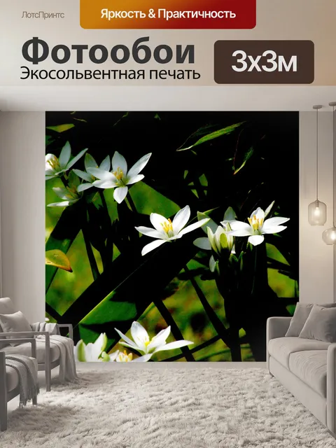Фотообои Белые цветы