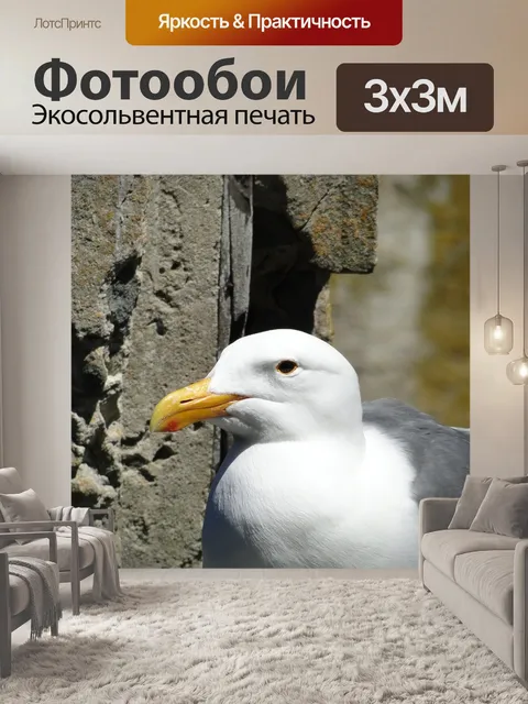 Фотообои Птицы