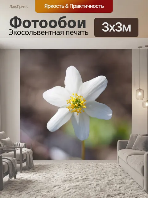 Фотообои Древесные анемоны