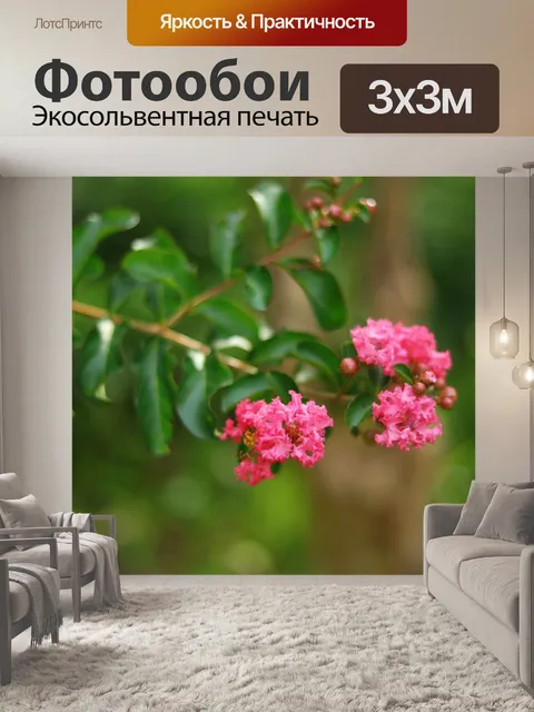 Фотообои Цветы
