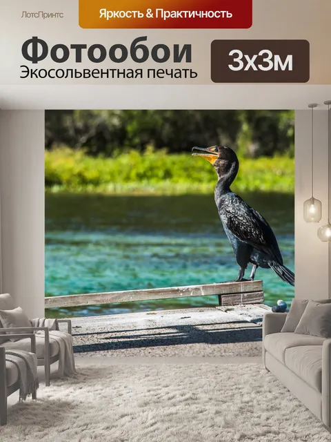 Фотообои Рыба птица