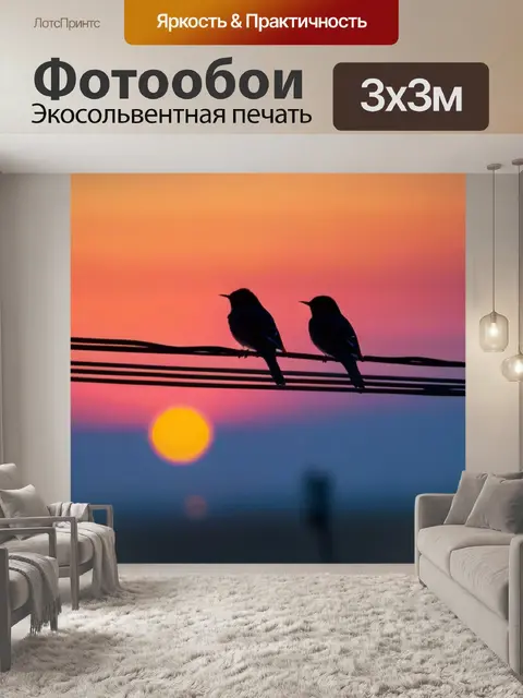 Фотообои две птицы, сидящие на проводах во время рассвета