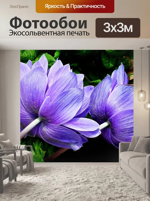 Фотообои Анемоны