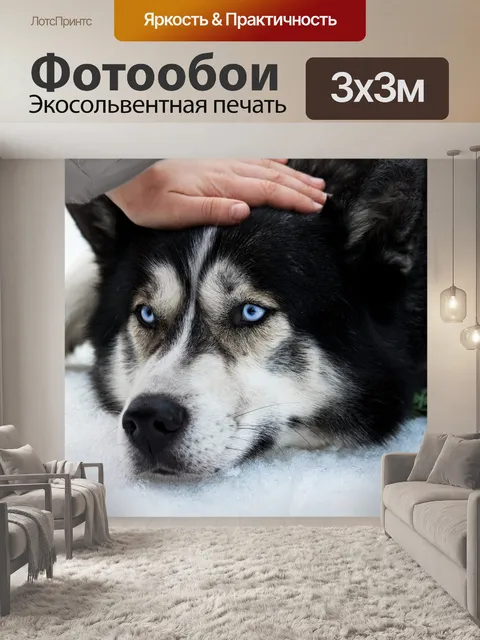 Фотообои Собака