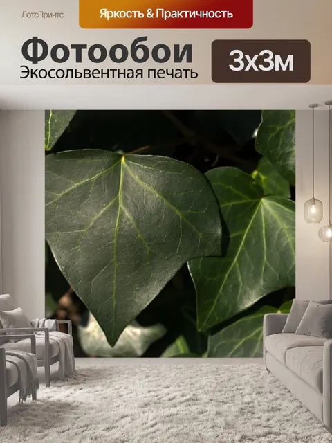 Фотообои прожилки на темно-зеленом листе плюща