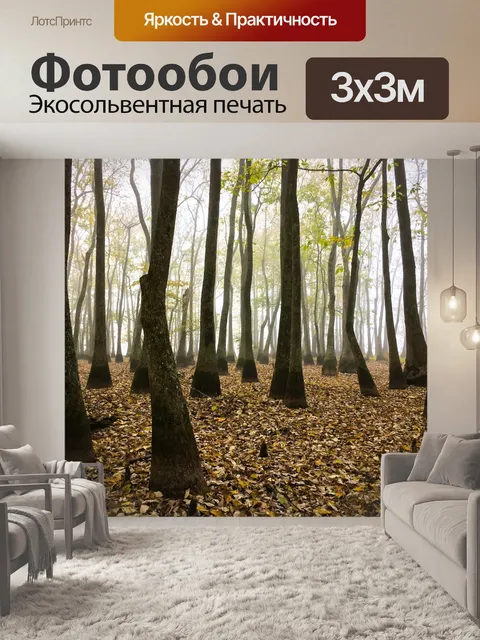 Фотообои Лес