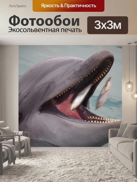 Фотообои Дельфин