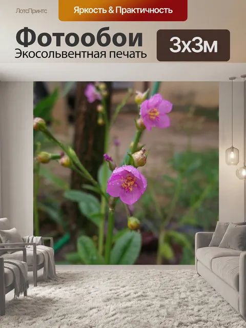 Фотообои Цветок