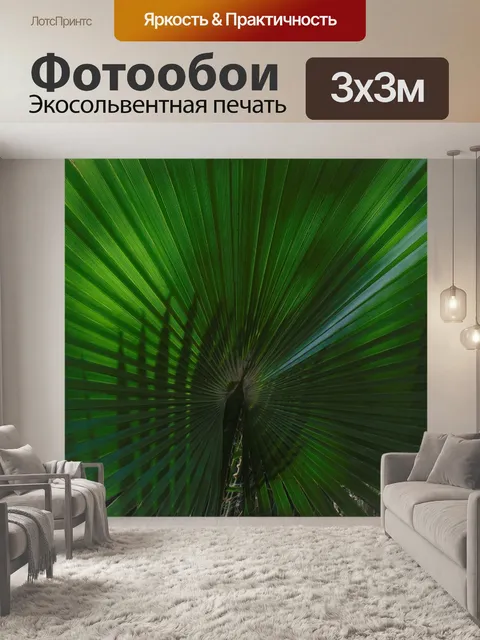Фотообои Пальма