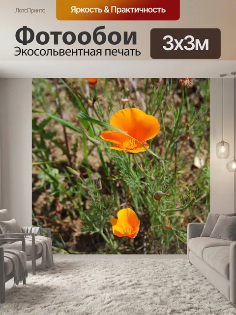 Фотообои Безмятежный