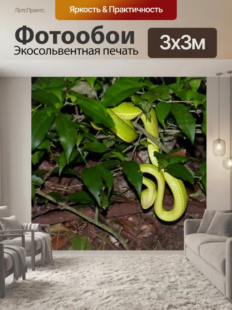 Фотообои Линия