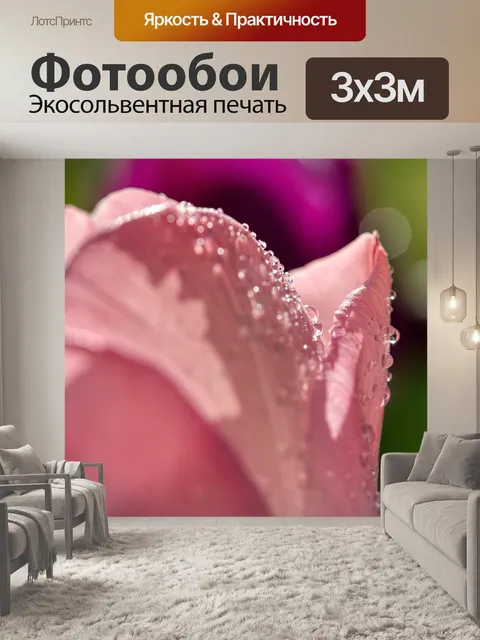 Фотообои Тюльпаны