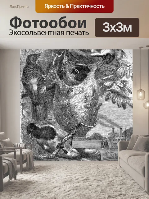Фотообои Балтиморская иволга