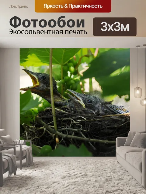 Фотообои Птица