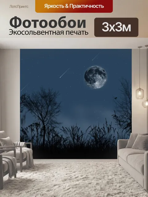 Фотообои Ночь