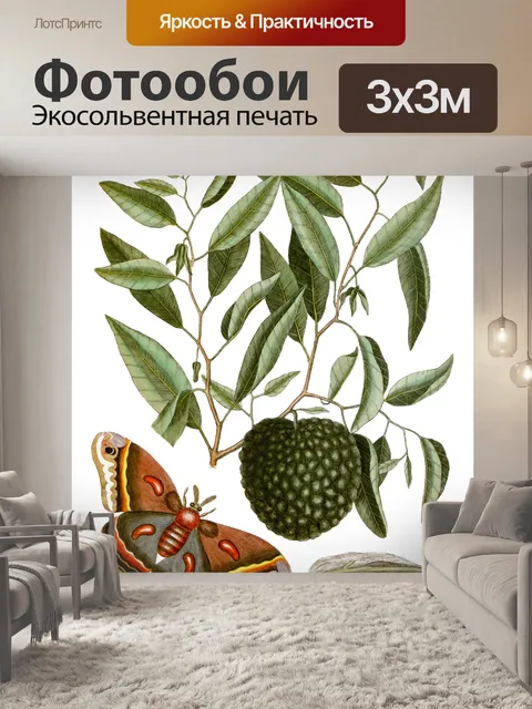 Фотообои Винтажное искусство бабочки Анноны