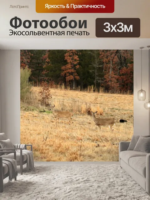 Фотообои Пять белохвостых оленей в поле