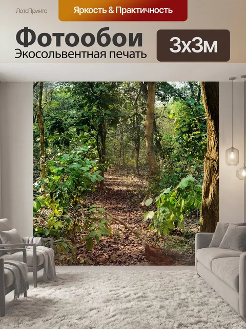 Фотообои Деревья и листья 28