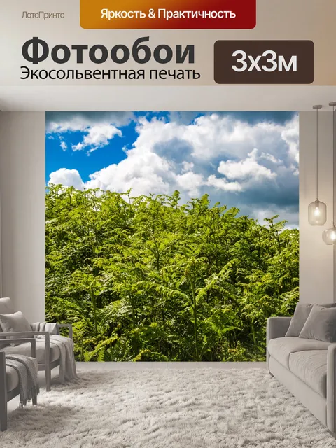 Фотообои папоротник