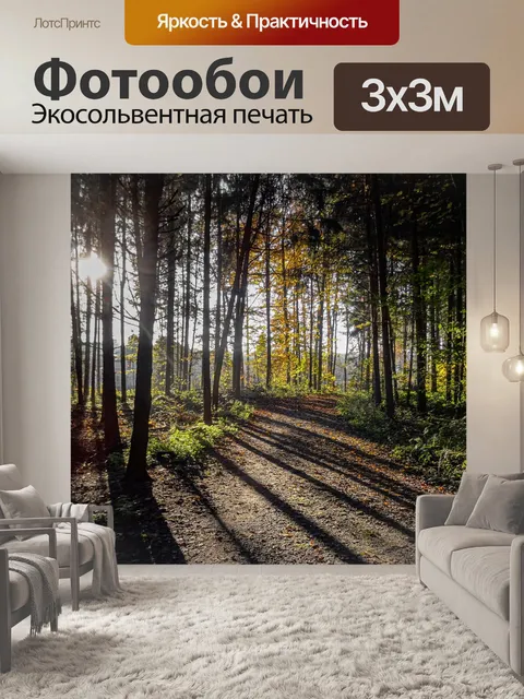 Фотообои Лес
